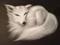 Art: White Fox by Artist Patricia Lintner