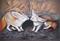 Art: Fennec Love by Artist Patricia Lintner