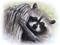 Art: Raccoon by Artist Patricia Lintner