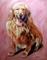 Art: Scarlet by Artist Shoshana Avramovitz