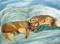 Art: Goldens by Artist Shoshana Avramovitz