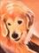 Art: Brinny by Artist Amy J Hipple