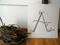 Art: Hand Lettered Letter A by Artist Chris Jeanguenat