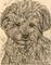 Art: MILO. by Artist William Powell Brukner