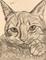 Art: MILO. The Sweet Lovable Cat. by Artist William Powell Brukner