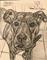 Art: ~JANE~The-Beloved-Dog. by Artist William Powell Brukner