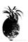 Art: Air Plant in Egg Gourd by Artist Windi Rosson