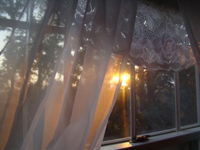 Art: Morning's Light by Artist Leea Baltes