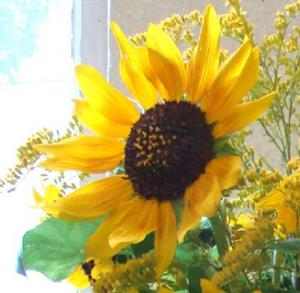 Detail Image for art Harvest Blessings