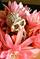 Art: Hidden by Artist Ruth Edward Anderson