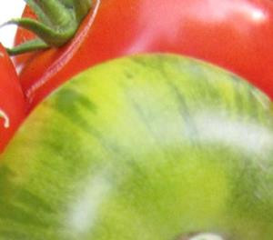Detail Image for art Fall Produce