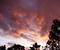 Art: A New Day by Artist Leea Baltes