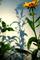 Art: Evening Shadows by Artist Leea Baltes