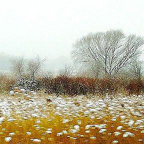 Detail Image for art winter prairie lr lrg .jpg