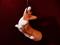 Art: Corgi Ornament V by Artist Camille Meeker Turner