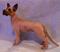 Art: great dane 3 008.JPG by Artist Camille Meeker Turner
