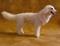 Art: Furred Golden Retriever by Artist Camille Meeker Turner