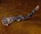 Art: Alpaca Furred Grey Tabby Cat by Artist Camille Meeker Turner
