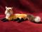 Art: Custom Red Fox by Artist Camille Meeker Turner