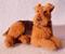 Art: Alpaca Furred Airedale Terrier by Artist Camille Meeker Turner