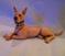 Art: Great Dane by Artist Camille Meeker Turner
