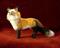 Art: Red Fox by Artist Camille Meeker Turner