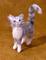 Art: Silver/Grey Tabby Cat by Artist Camille Meeker Turner