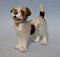 Art: Rough Coat Parsons Jack Russell Terrier by Artist Camille Meeker Turner