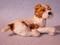 Art: Rough Coat Jack Russell Terrier by Artist Camille Meeker Turner