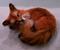 Art: Red Fox by Artist Camille Meeker Turner