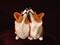 Art: Lovebirds by Artist Camille Meeker Turner