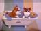 Art: Corgi Bath Time! by Artist Camille Meeker Turner