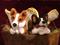 Art: Corgi Angels In Bird's Nest by Artist Camille Meeker Turner