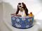 Art: Dog~N~Suds by Artist Camille Meeker Turner