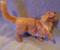 Art: Silk Furred Golden Retriever by Artist Camille Meeker Turner