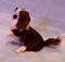 Art: Silk Furred Springer Spaniel by Artist Camille Meeker Turner