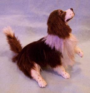 Detail Image for art Silk Furred Springer Spaniel Detail Image for art Silk Furred Springer Spaniel