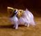 Art: Silk Furred Papillon by Artist Camille Meeker Turner
