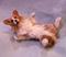 Art: Silk Furred Fluffy Corgi by Artist Camille Meeker Turner