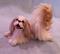 Art: Silk Furred Japanese Chin by Artist Camille Meeker Turner