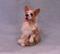 Art: Silk Furred Corgi by Artist Camille Meeker Turner