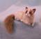 Art: Ragdoll Cat by Artist Camille Meeker Turner