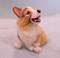 Art: Silk Furred Corgi Pup by Artist Camille Meeker Turner