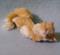 Art: Silk Furred Napping Cat by Artist Camille Meeker Turner