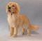 Art: Silk Furred Golden Retriver by Artist Camille Meeker Turner