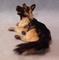 Art: Silk Furred German Shepherd Dog by Artist Camille Meeker Turner