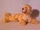 Art: Goldendoodle by Artist Camille Meeker Turner