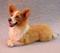 Art: Pembroke Welsh Corgi by Artist Camille Meeker Turner