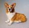 Art: Pembroke Welsh Corgi by Artist Camille Meeker Turner
