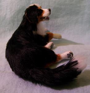Detail Image for art Silk Furred Bernese Mountain Dog Detail Image for art Silk Furred Bernese Mountain Dog